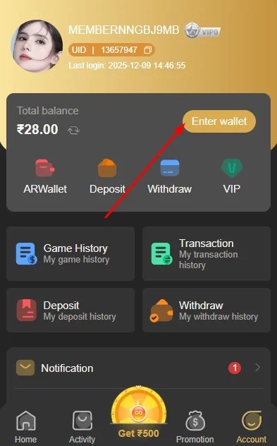 BDG Play Open Wallet Section